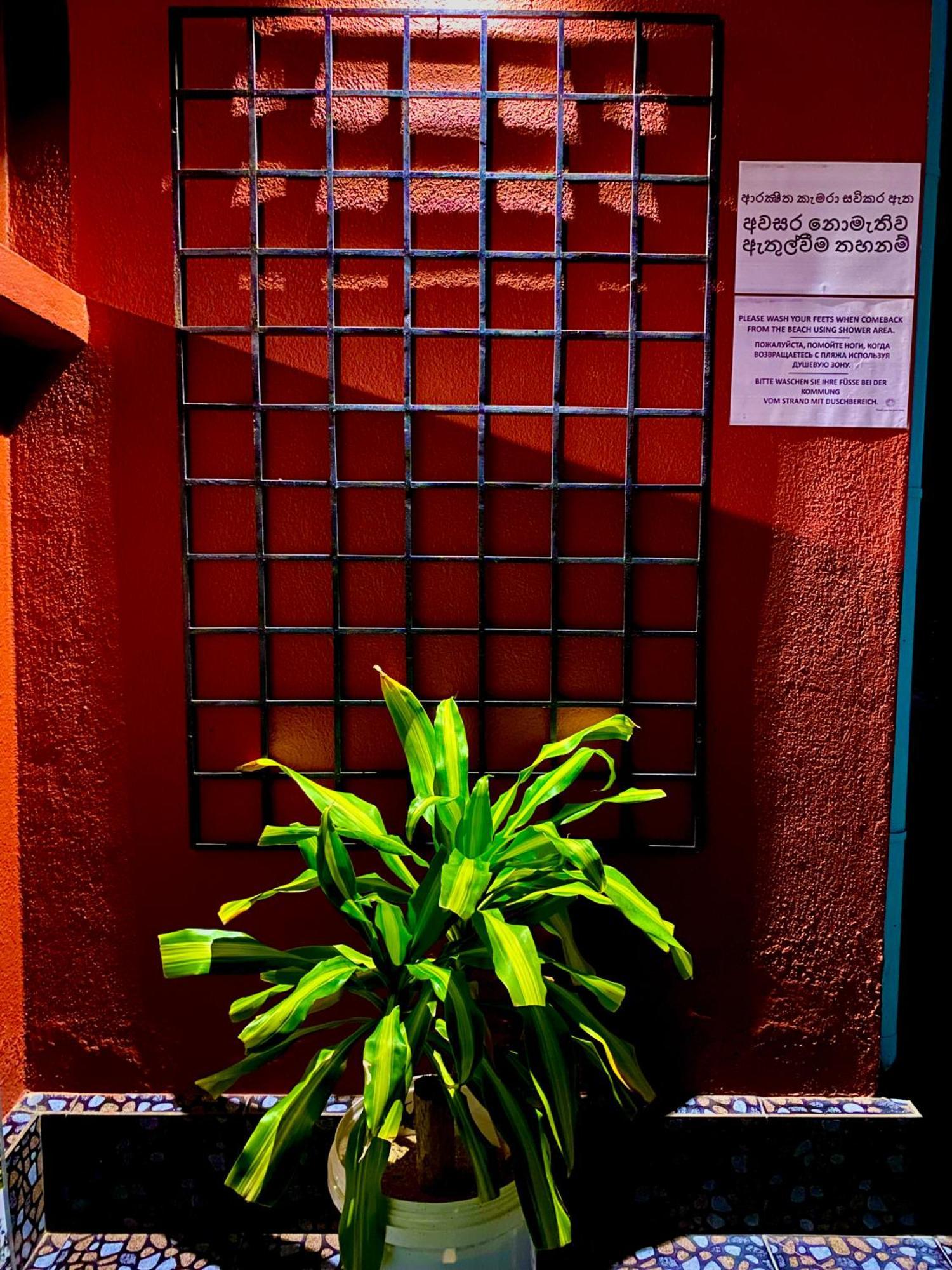 היקדואה Tamara Motels מראה חיצוני תמונה