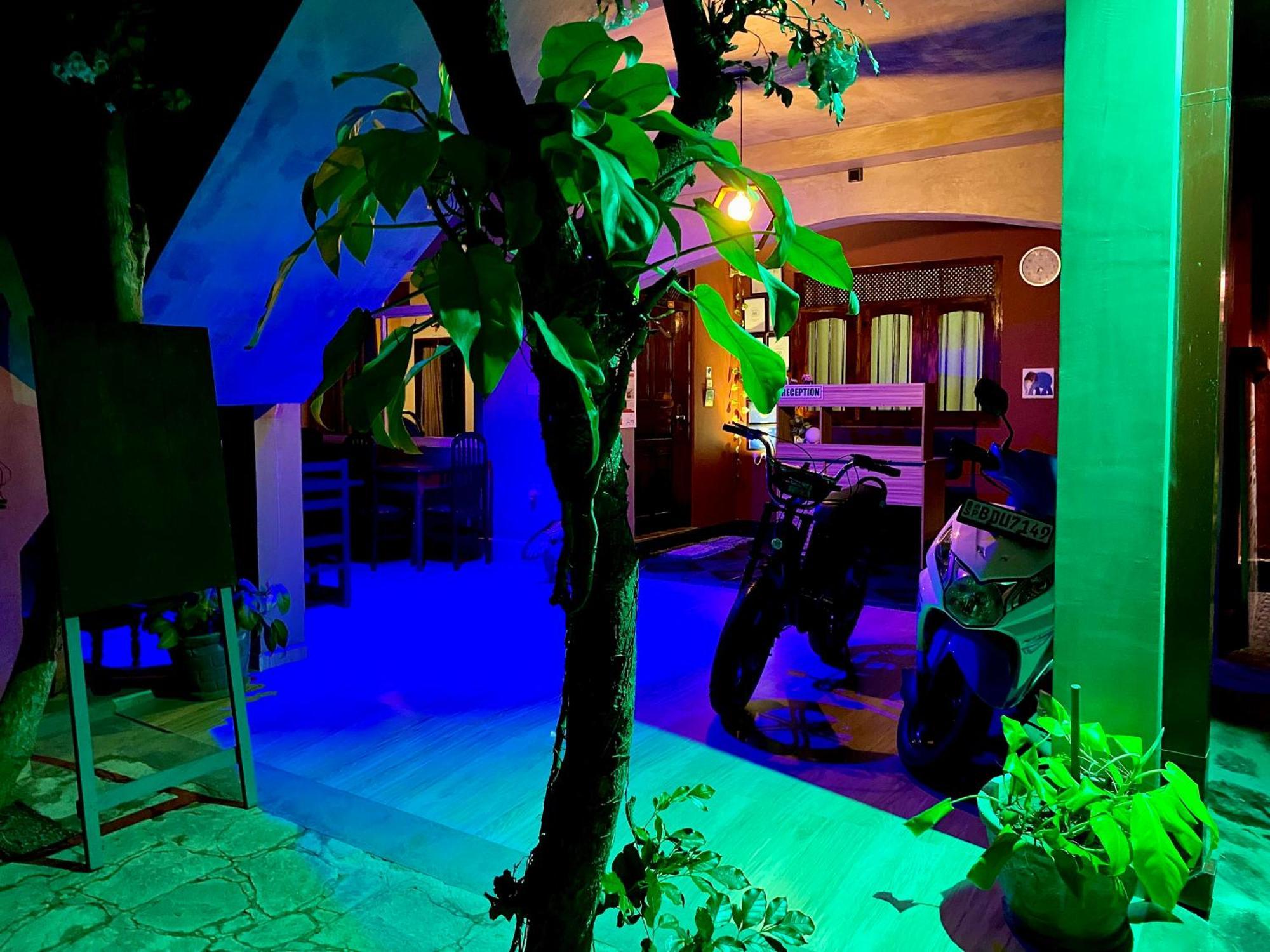 היקדואה Tamara Motels מראה חיצוני תמונה